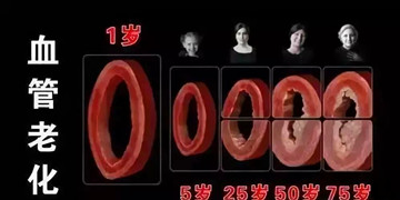 A1_副本.jpg