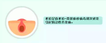 2_副本.jpg